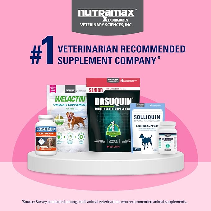 Nutramax Proviable Probiotics for Small Dogs and Cats, Diarrhea Support Kit, Digestive Health Supplement with Multiple Strains of Bacteria, Plus Prebiotics, Kaolin and Pectin, 15 ml Paste and 10 Capsules