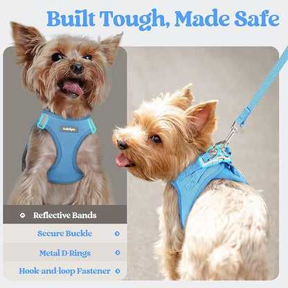 rabbitgoo Dog Harness Small Sized and Leash Set, Step in Soft Light Puppy Vest, Breathable Mesh Pet Harness, Reflective for Safe Easy Walking, Blue XS