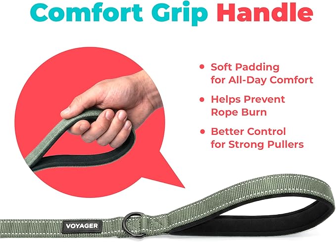 Best Pet Supplies Voyager Reflective Dog Leash or Collar with Neoprene Handle, for Small, Medium, and Large Breed Puppies, Cute and Heavy Duty for Walking, Running and Training - Moss Green (Leash), M