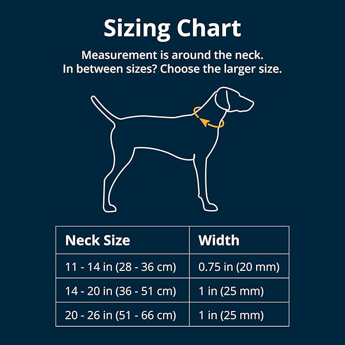 Ruffwear, Front Range Dog Collar, Adjustable Tubelok Webbing, Lightweight, Side Release Buckle, Aluminum V-Ring, Durable for Everyday Use, Mountains Logo, 11"-14"