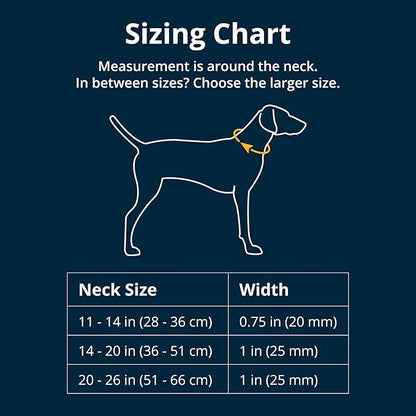 Ruffwear, Front Range Dog Collar, Adjustable Tubelok Webbing, Lightweight, Side Release Buckle, Aluminum V-Ring, Durable for Everyday Use, Mountains Logo, 11"-14"