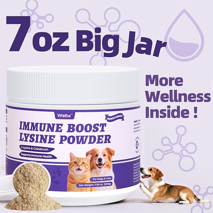 Wellix 7.05oz Lysine Powder for Cats & Dogs with Colostrum & Taurine for Dogs & Cats - Immune Support Supplement with Quercetin & Multivitamin for Respiratory Health, Coughing Treatment