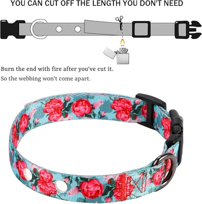 Rhea Rose 3/4 Inch Replacement Collar Strap Shock Collar with 2 Holes, Compatible with Nearly All Brands and Models of Underground Electric Dog Fences and Training Collars, Rose