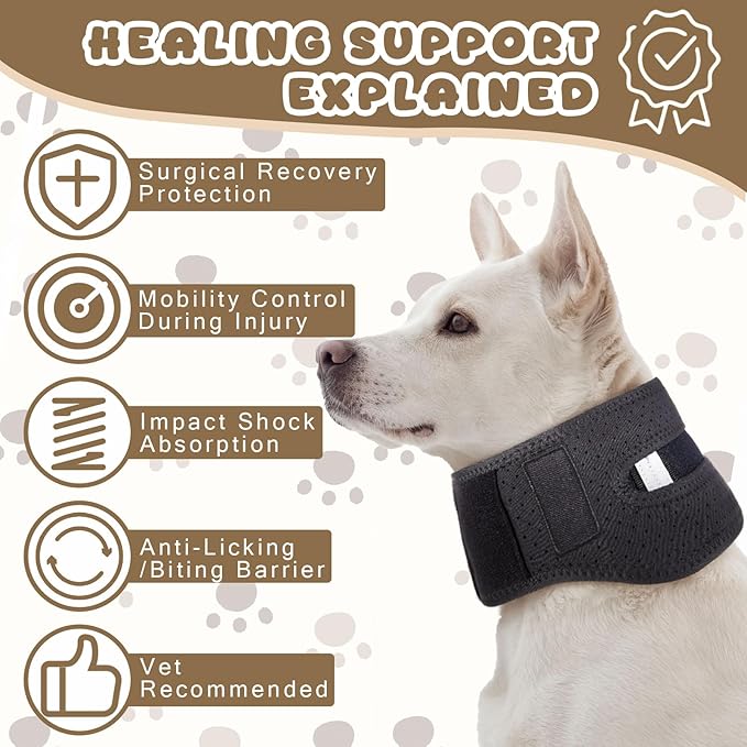Adjustable Dog Neck Brace Offers Support for Pets Neck Pain Injury Relief Soft Support Cervical Vertebral Sprains and Instability Brace Collar for Dogs(XL)