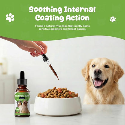Slippery Elm for Dogs Liquid Drops, Organic Slippery Elm Bark Extract for Digestive & Throat Comfort, Bacon-Flavored Herbal Dog Supplement, 2 fl oz