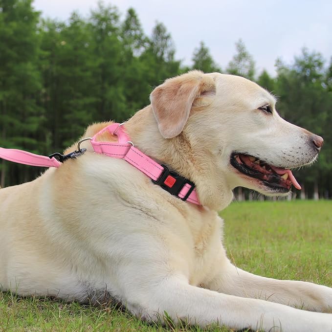 Joytale Martingale Collar for Dogs, Reflective Heavy Duty for Safety, Quick Release Buckle, Adjustable Nylon Collars for Small Dogs Walking Training, Pink, S