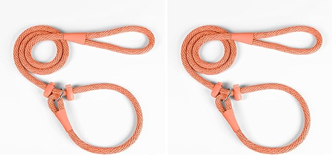 Lynxking Dog Leash Slip Lead Reflective Breathable Rope Comfortable Strong No Pull Slip On Pet Training Lead for Dogs (Pack of 2)