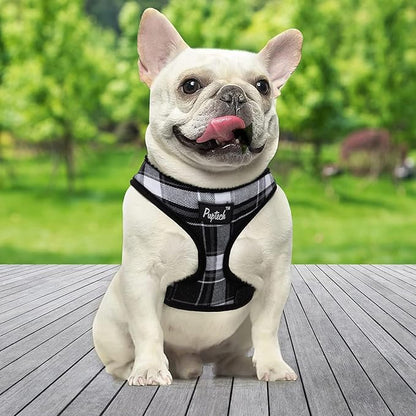 PUPTECK Soft Mesh Dog Harness and Leash Set Pet Puppy Cat Comfort Padded Vest No Pull Harnesses, Black, M