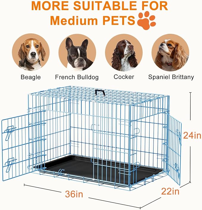 FDW Dog Crate 36inch Dog Cage Foldable Metal Kennel with Leakproof Tray Foldable Design Indoor Outdoor Use for Medium Dogs,Blue