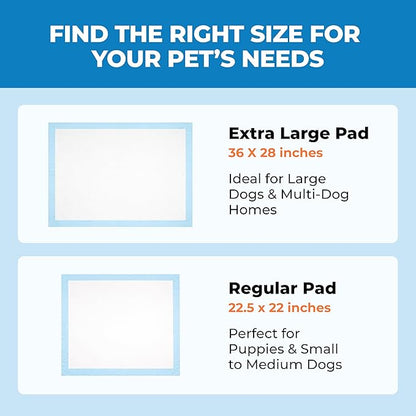 Best Pet Supplies Puppy Pads (22.5 x 22 Inches) - Disposable, Dog Training Potty, Super Absorbent Baby Blue Puppy Pee Pads for Dogs (300 Count)