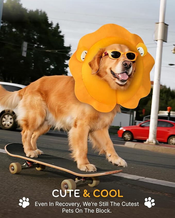 MIDOG Inflatable Dog Cone Collar, Lion Mane Soft Dog Cone Alternative After Surgery with 40% Extra Protection Area Anti-Lick, Adjustable Donut Recovery Collar for Large Medium Small Dogs (Lion, M+)