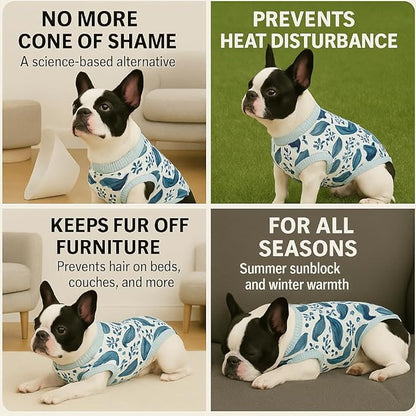 PetWarm Surgical Suit for Male Dogs After Neuter, Dog Surgery Suit, Cone of Shame Alternatives, Dog Surgical Recovery Onesies Female Male Dogs, Marine Animal Patterns, Blue, XS