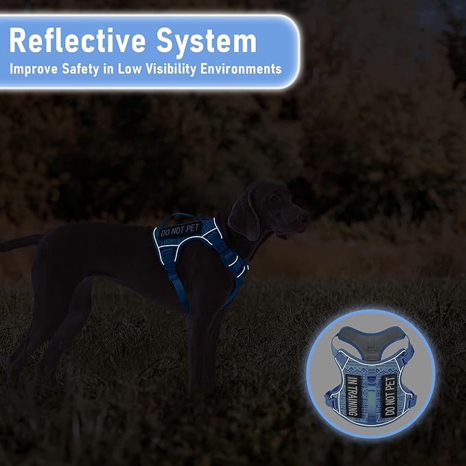 AUNZO No-Pull Dog Harness for XS Dogs, Anti-Escape Easy Walking Reflective Adjustable Lightweight Dog Vest with Breathable Oxford Material, Easy On/Off with Neck Buckle, Blue XS