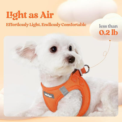 rabbitgoo Dog Harness Medium Sized and Leash Set, Step in Soft Light Puppy Vest, Breathable Mesh Pet Harness, Reflective for Safe Easy Walking, Orange XXL