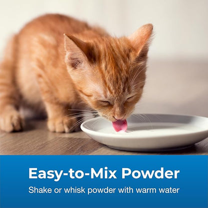 Pet-Ag KMR 2nd Step Kitten Weaning Food - 14 oz, Pack of 4 - Powdered Kitten Weaning Formula with DHA, Natural Milk Protein, Vitamins & Minerals for Kittens 4-8 Weeks Old - Easy to Digest