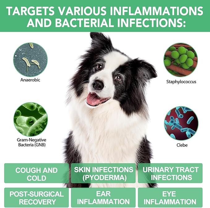 Antibiotics for Dogs, Natural Antibiotics for Dogs, Dog Multivitamin for Pets, Dog Antibiotics Helps Support a Healthy Immune System, 2 Fl Oz ﻿ ﻿ ﻿ ﻿
