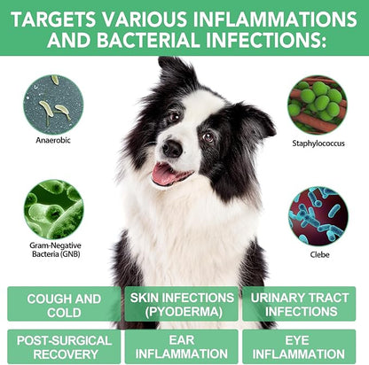 Antibiotics for Dogs, Natural Antibiotics for Dogs, Dog Multivitamin for Pets, Dog Antibiotics Helps Support a Healthy Immune System, 2 Fl Oz ﻿ ﻿ ﻿ ﻿