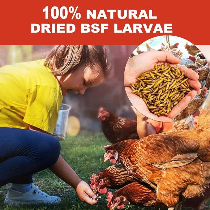 5.5LB Dried Black Soldier Fly Larvae, 85X More Calcium Chicken Feed Than Mealworms, 100% Natural Non-GMO BSF, Treat for Chickens, Ducks, Laying Hens, Birds