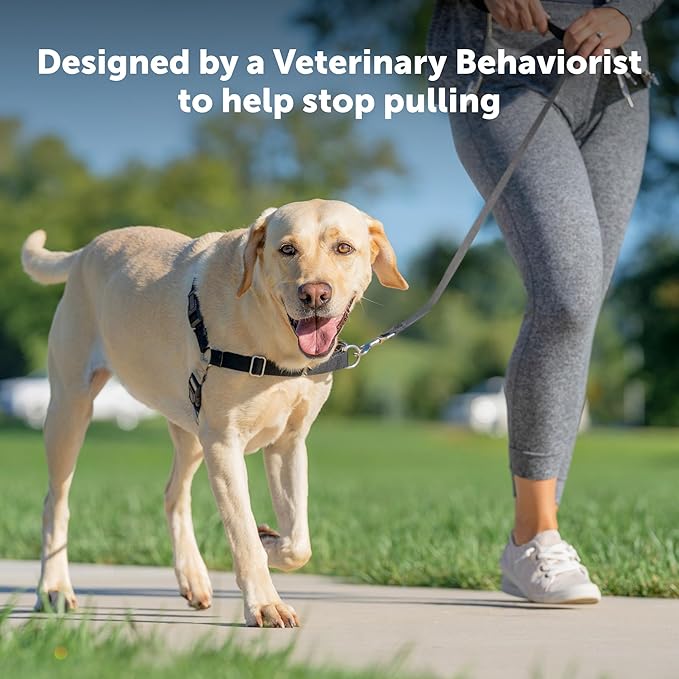 PetSafe Easy Walk Harness for Dogs - Pull-Free Walks - Patented Martingale Loop Design - Front Chest Leash Attachment - Comfort Straps - Breathable Harness Design - Small, Teal/Gray