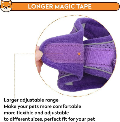 Dog Harness with Leash Set, No-Pull Step-in Reflective Pet Harness with 1 Leash Clips, Adjustable Soft Padded Easy Walk Dog Vest for Small Medium Large Dogs, Cats(Light Purple, XXXSmall)