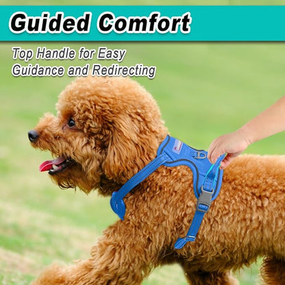 BARKBAY Dog Harness No Pull Mesh for Small Dogs - Adjustable, Reflective, Comfortable, No Choke, Heavy-Duty - Perfect for Outdoor Training, Walking, and Hiking - Strong & Durable - XS & Blue Mesh