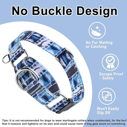 Reflective Martingale Collar for Dogs Nylon Training Collar with No Buckle, No Pull Escape Proof Dog Collar for Large Dogs（Blue Dinosaur，L）