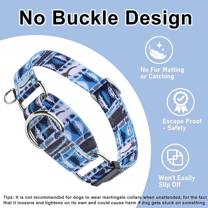 Reflective Martingale Collar for Dogs Nylon Training Collar with No Buckle, No Pull Escape Proof Dog Collar for Small Dogs（Blue Dinosaur，S）