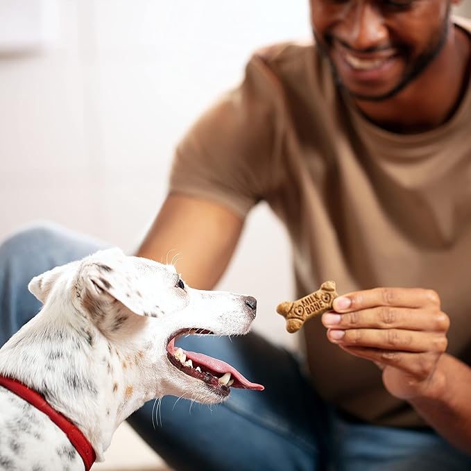 Milk-Bone Flavor Snacks Small Dog Biscuits, Flavored Crunchy Dog Treats, 60 Oz. Boxes (Pack of 3)