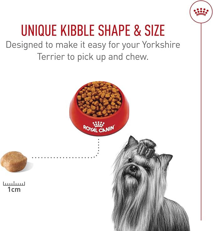 Royal Canin Breed Health Nutrition Yorkshire Terrier Adult Dry Dog Food, 2.5 lb Bag