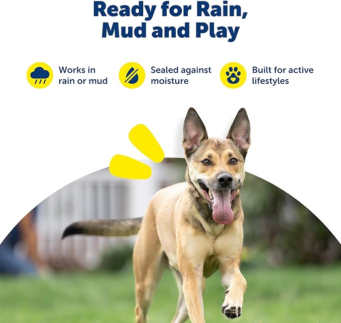 PetSafe RFA-67 6V Replacement Battery 2-Pack - Reliable Lithium Cell Batteries - Waterproof & Weather Ready Replacement Power Source for Compatible Fences & Collars