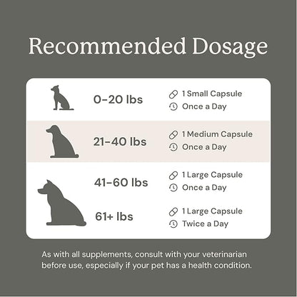 Animal Biome Probiotics for Dogs with S Boulardii, Gut Maintain (60 Capsules) – Triple-Action Medium Dog Probiotics, Prebiotics & Phage Supplements for Gut Health, Firmer Stool & Diarrhea Support