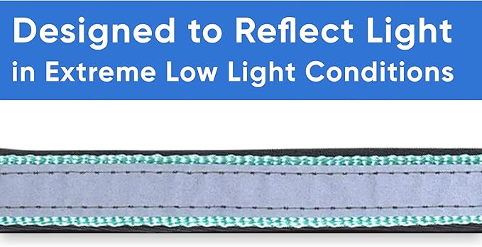 Pawtitas Lumberjack Padded Martingale Collar for Dogs | Soft Neoprene Dog Collar for Your pet's Comfort Made with Reflective Band for Maximum Visibility | Fits Small and Large Pets - Large Teal