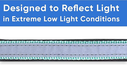 Pawtitas Lumberjack Padded Martingale Collar for Dogs | Soft Neoprene Dog Collar for Your pet's Comfort Made with Reflective Band for Maximum Visibility | Fits Small and Large Pets - XS Teal