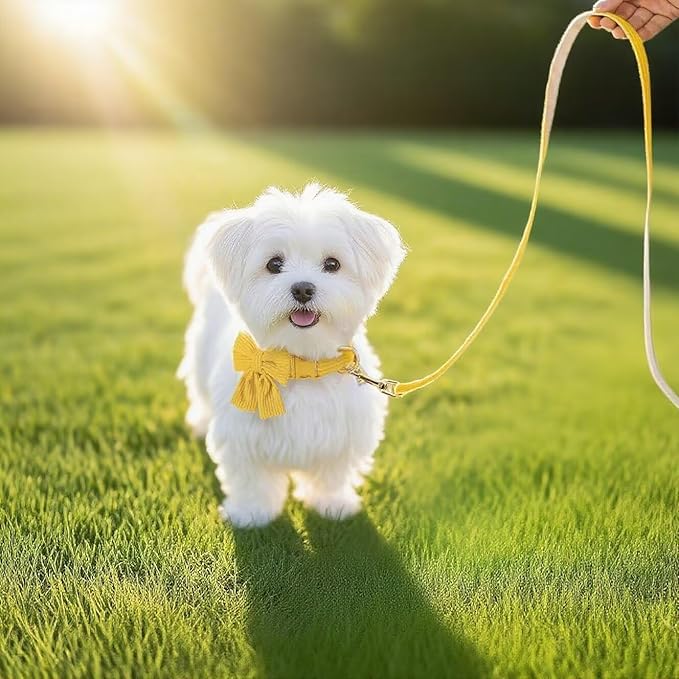 Dog Collar and Leash Set with Bowtie, Girl Dog Collars Metal Buckle Adjustable for Small Medium Dogs (Yellow, S: Neck 10"-16" Leash 5 FT)