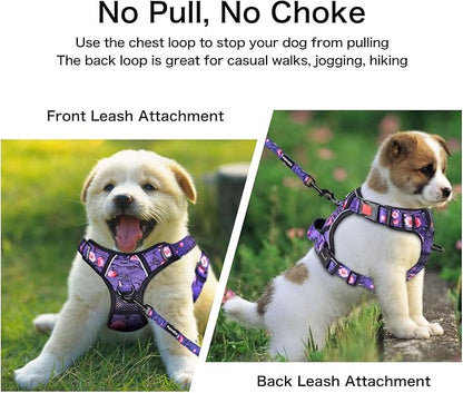 Petmolico No Pull Dog Harness Set with Leash Attachment Easy Control Handle Reflective Harness Vest Small Breed, Puppy Vest and Leash Set with Poop Bag Holder, Medium - Purple Peach