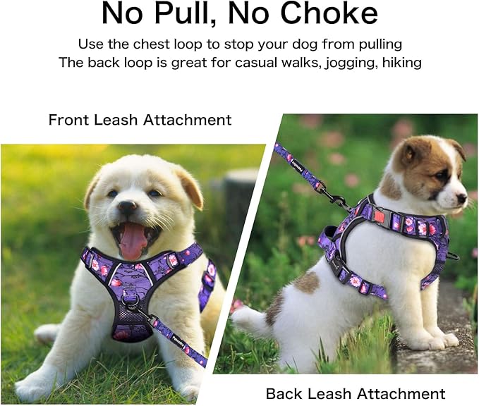 Petmolico No Pull Dog Harness Set with Leash Attachment Easy Control Handle Reflective Harness Vest Small Breed, Puppy Vest and Leash Set with Poop Bag Holder, XS - Purple Peach
