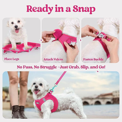 rabbitgoo Dog Harness Small Sized and Leash Set, Step in Soft Light Puppy Vest, Breathable Mesh Pet Harness, Reflective for Safe Easy Walking, Rose Red XXS
