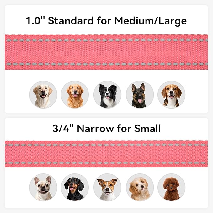 Joytale Dog Leash, 6 FT Double-Sided Reflective, Padded Handle Nylon Heavy Duty Leashes for Small Dogs Walking, Neon Pink