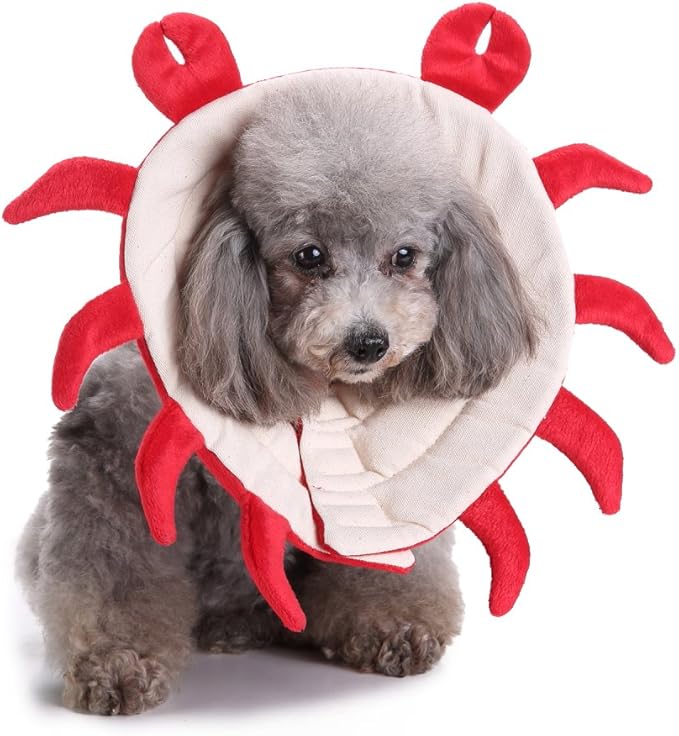 Pet Recovery Collar,Dog Protective E-Collar Soft Dog Cone Breathable Secure Lovely Collar for Puppy Small Medium Dogs (L-Neck: 38-41cm, Crab)