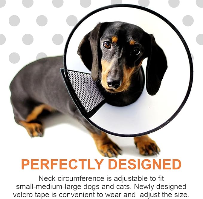 Adjustable Dog Elizabeth Pet Protective Cone Collar Latest Upgrade with Soft Edge Dog Neck Cone Recovery Cone Collar for Anti-Bite Lick, Surgery, or Wound Healing (Large 15.4"-17.3")