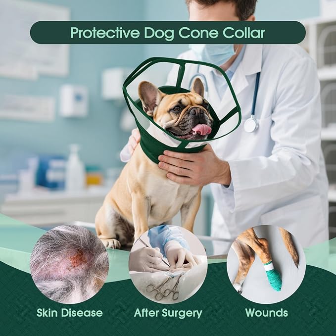 Kuoser Large Dog Cone Collar After Surgery, Soft Cone for Dogs to Stop Licking, Breathable Pet Recovery Collar Comfortable Elizabethan Collars, Adjustable Protective Dog Cones for Large Dogs, Green XL