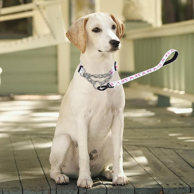 Martingale Dog Collar and Leash Set, Stainless Steel Chain, No Pull Training Collar with Flower Design, for Small, Medium, Large Dogs (NO13, S)