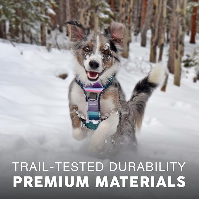 Embark Adventure Dog Harness for Small, Medium & Large Dogs – No Pull, Reflective Trim, Heavy Duty Oxford, 2 Leash Clips, Gel-Lined Handle, Soft Padded