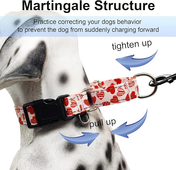 Valentines Reflective Martingale Collar for Dogs with Quick Release Buckle Cute Girl No Pull Dog Collars (Red Heart, XSmall)