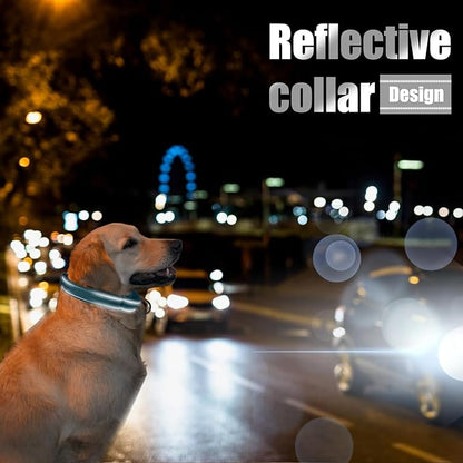SGODA Martingale Dog Collar, Reflective Nylon Padded Dog Training Collars for Medium Dogs, Grey M