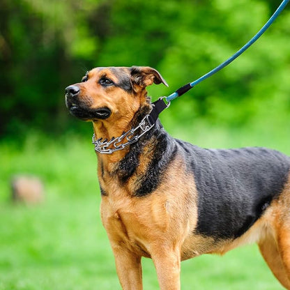 Prong Collar for Large Dogs, Dog Pinch Collar,Dog Training Collar,High Strength Quick Release Metal Buckle,Comfort Rubber Tips,for Large Dogs (4.0mm, 23.6-Inch, Black)