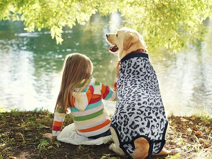 Dog Surgical Recovery Suit, After Spay Abdominal Wounds Post Surgical Suit for Dogs Female Male Onesies, Anti Licking Breathable Pet Shirt for Small Large Dogs, Dog Surgery Collar Alternatives