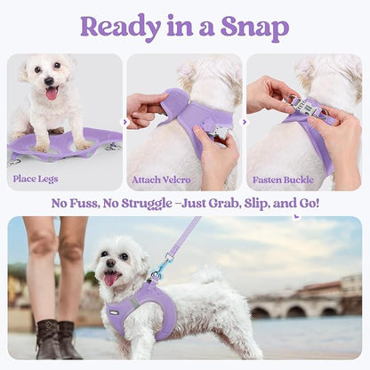 rabbitgoo Dog Harness Small Sized and Leash Set, Step in Soft Light Puppy Vest, Breathable Mesh Pet Harness, Reflective for Safe Easy Walking, Light Purple XXS