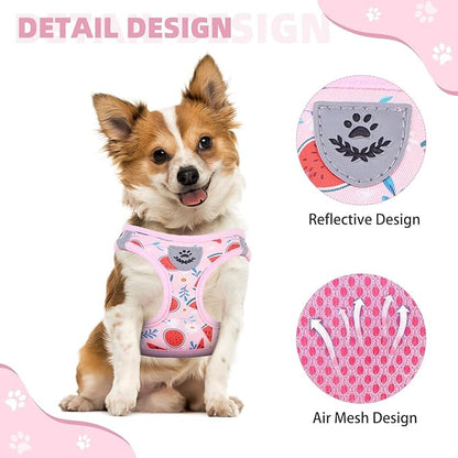 KOOLTAIL Dog Harness and Leash Set for Small Medium Dogs, Step in No Pull Soft Mesh Dog Harness Comfort Padded Pet Vest, Adjustable Reflective Easy Walking Puppy Cats Harness Training, Watermelon XS