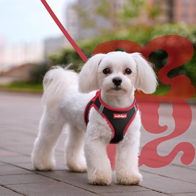 rabbitgoo Dog Harness Small Sized and Leash Set, Step-in Breathable Pet Harness, Soft Walking Reflective Puppy Vest for Small Dogs, Black & Red, L